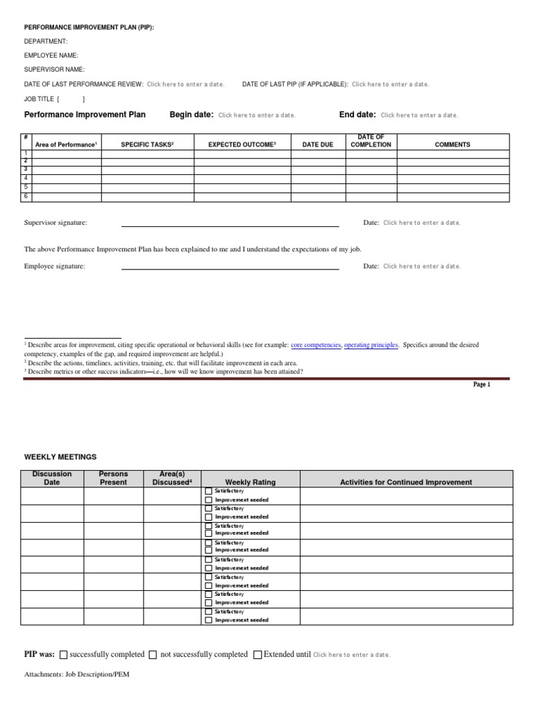 Performance Action Plan Template Lovely Employee Performance
