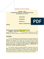 Análisis de La Acción de Amparo Presentado Por Alán García (Original)