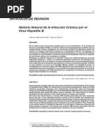Historia Natural Infección Crónica HBV