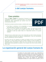 Apb1 PDF