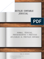 Peritaje contable judicial