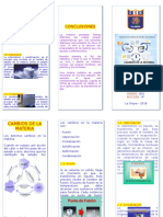 Triptico Cambios de La Materia