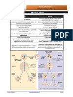 Mitose Vs Meiose PDF