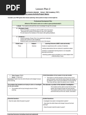 lesson plan 2