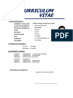 Curriculum Vitae Modelo