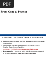 From Gene To Protein