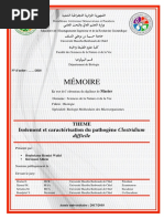 Cycle de L'uree... | PDF | Sciences physiques | Biologie