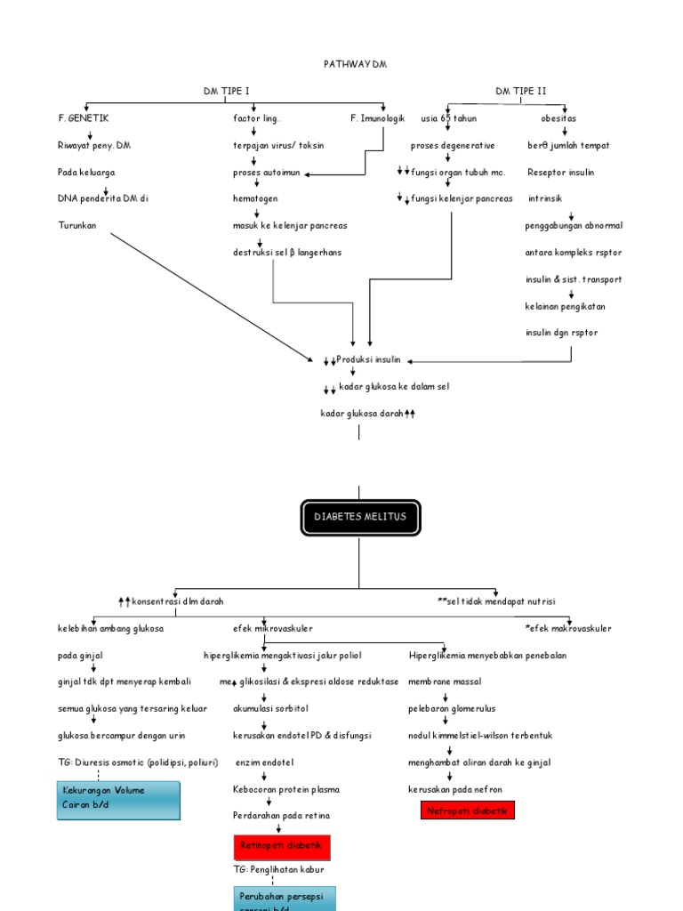 Pathway of Diabetes Mellitus | PDF