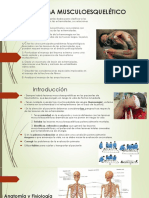 Trauma Musculoesquelético