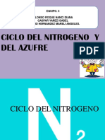 Ciclo Nitrógeno y Azufre