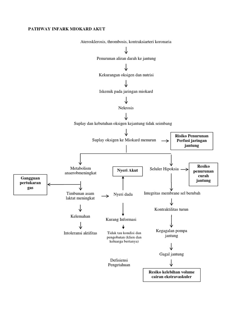 Pathway Ima | PDF