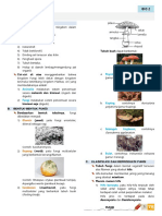 fungi_bio2_5.pdf