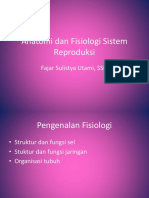 Anatomi Dan Fisiologi Sistem Reproduksi