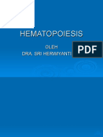 dr.herwiyati HEMATOPOIESIS