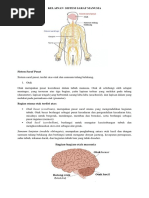 Kelainan Sistem Saraf Manusia