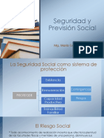 Seguridad Social: protección contra riesgos y garantía de derechos