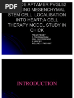 Download STEM CELLS-PPT by fml555 SN39559942 doc pdf
