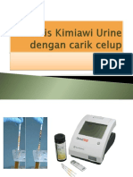 Urinalisis Carik Celup