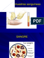 Toma de Muestra Sanguínea