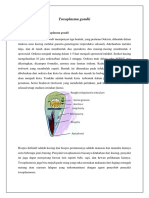 Toxoplasma Gondii