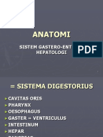 SYSTEMA DIGESTORIUS