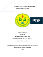 NURUL FITRIYANI SISTEM PENCERNAA.docx