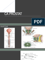 Ca prostat.pptx