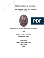Tesis Cia Condestable PDF