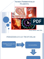 Proses Pembentukan Plasenta