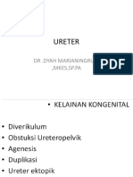 Ureter: DR .Dyah Marianingrum, Mkes, SP - Pa