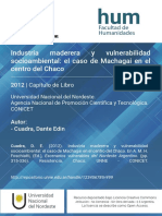 cv17.pdf