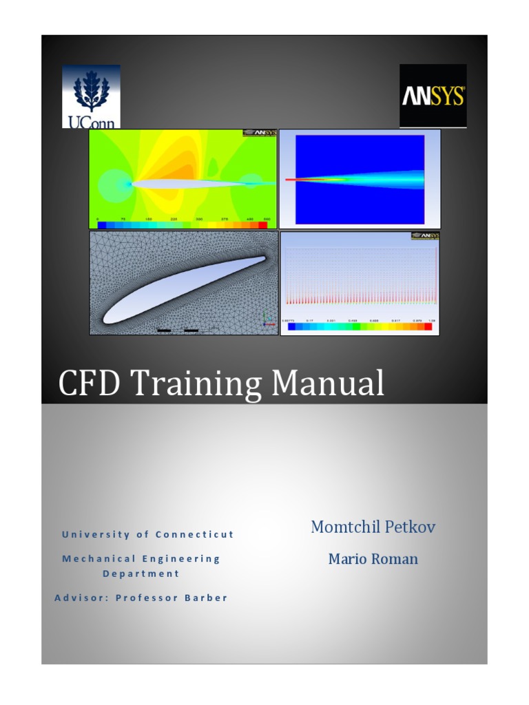 Manual CFD | PDF | Lift (Force) | Fluid Dynamics
