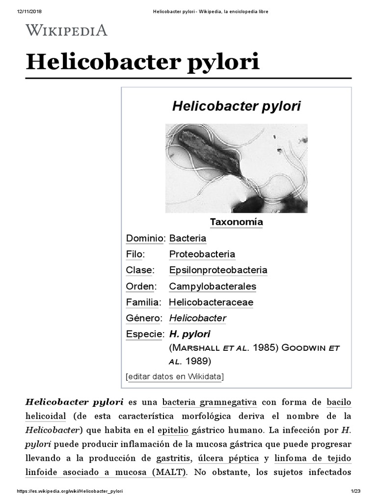 Helicobacter Pylori Wikipedia Medicina Clinica Biologia