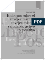Calvo_2013_enfoques-envejecimiento-maltrato-PUC.pdf
