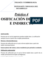 Osificación directa e indirecta