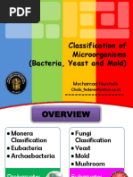 2 Classification of Bacteria Yeast and Mold