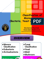 2 Classification of Bacteria Yeast and Mold