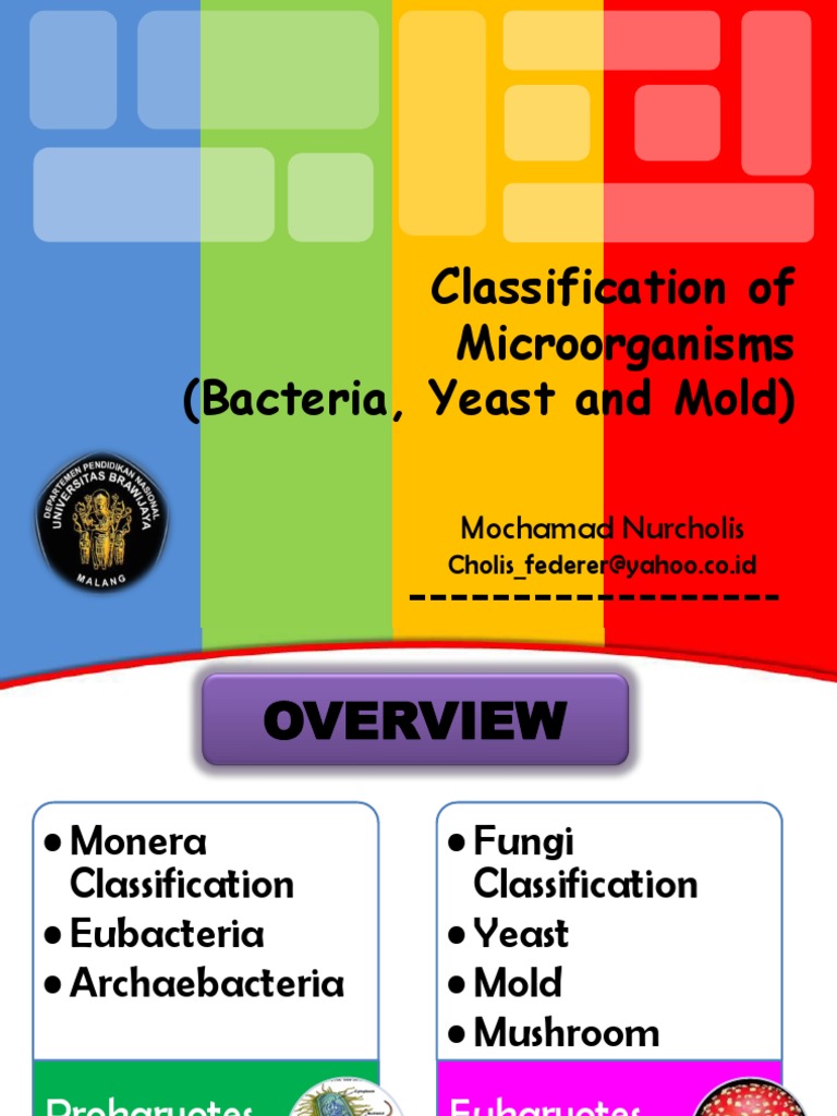 Classification and Characteristics of An Overview of