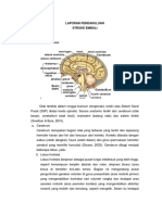 LP Stroke Emboli