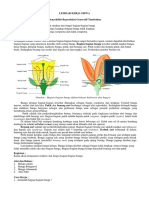 Menyelidiki Reproduksi Generatif Tumbuhan