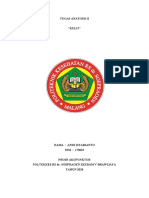Andi_Istarianto_tugas_anatomi_II_Kulit.pdf