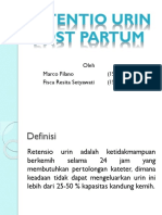 Retentio Urin Post Partum