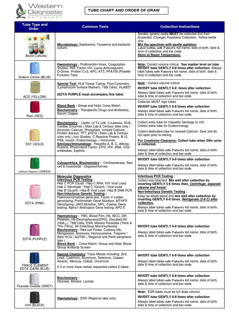 Blood Tube Order of Draw Guide | PDF | Hepatitis B | Clinical Medicine