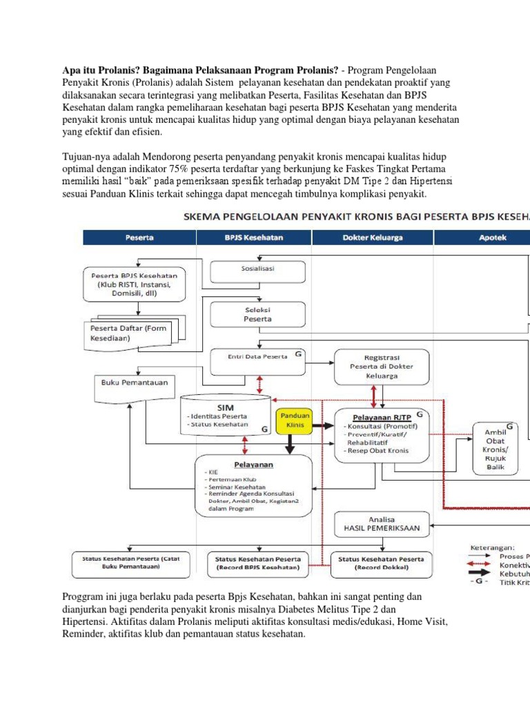 Apa Itu Prolanis | PDF