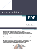Surfactant e Pulmon Ar