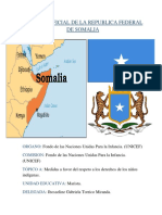 Posicion Oficial de La Republica Federal de Somalia