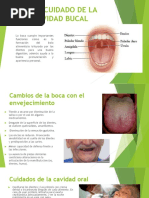 cavidad bucal