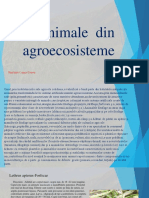 Animale Din Agroecosisteme