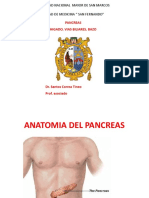 3 Pancreas