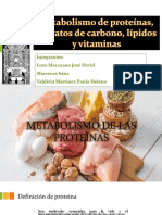 Grupo 1 Metabolsmo de Las Proteinas, Carbohidratos, Lipidos y Vitaminas